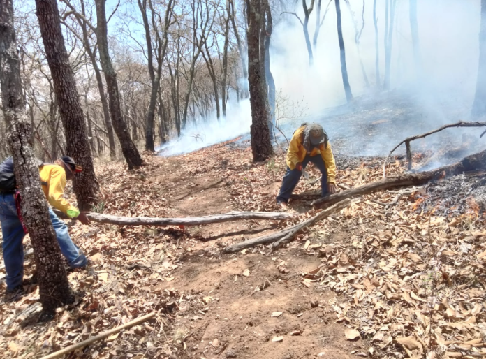 Refuerza Gobierno de Michoacán acciones para atender incendios forestales