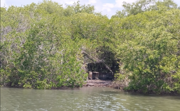 Encuentran fosa clandestina con 17 cadáveres en Veracruz 