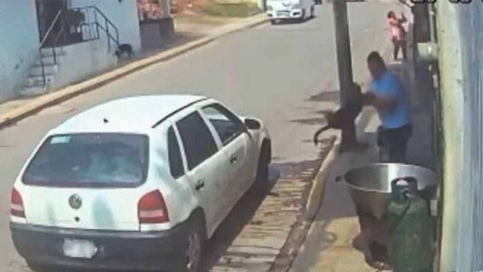 Carnicero y esposa de hombre que arrojó un perro en aceite hirviendo presuntamente mantenían una relación