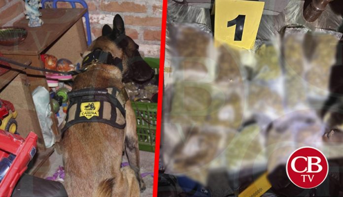Revientan FGE vivienda con droga en la López Mateos