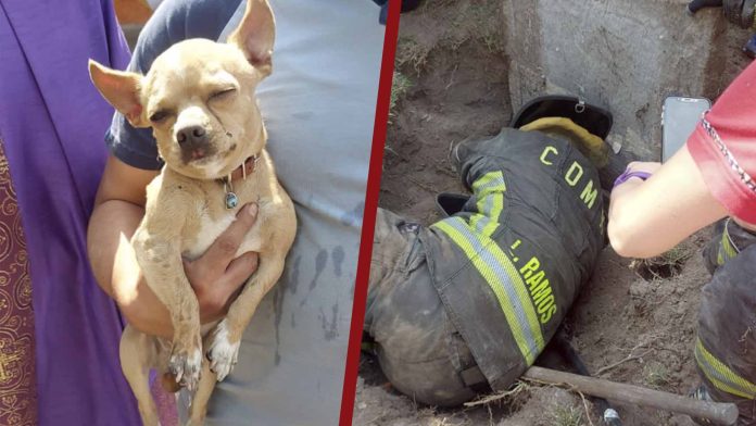 Rescatan a perrito atrapado en una coladera