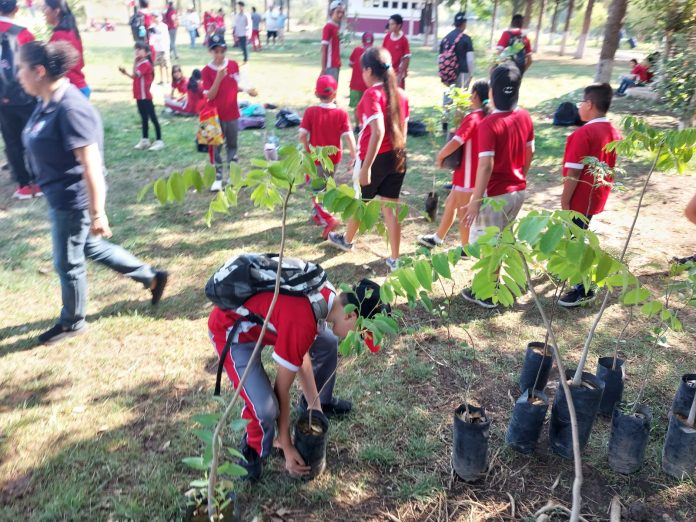 Culmina con reforestación Semana Verde