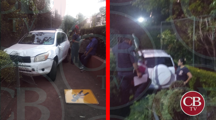 Pareja de adultos mayores ingresan al zoológico con todo y auto