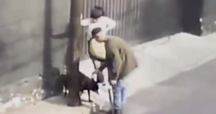 Video: Pareja abandona a perro en la vía publica, lo 