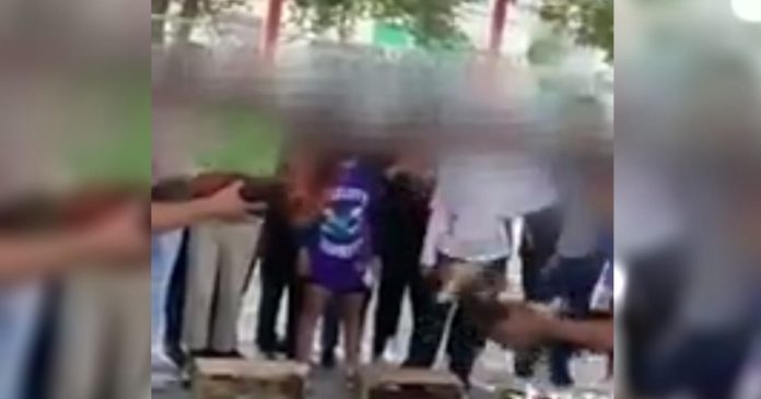 Video: Exponen pelea de gallos dentro del CONALEP