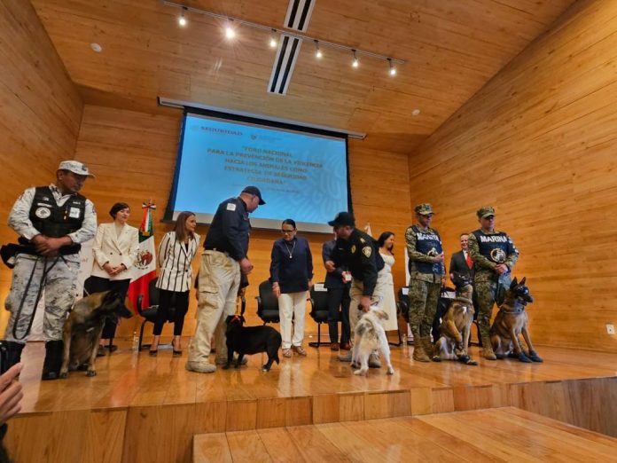 Con la reactivación del Centro de Concientización, Cuidado y Bienestar Animal (Ceccuban), el ayuntamiento está fomentando el cuidado y bienestar animal en la región