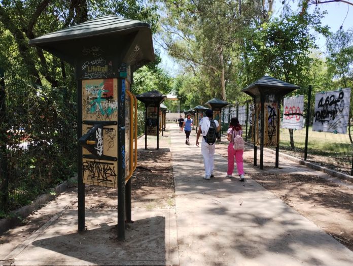 Zonas olvidadas del Bosque Cuauhtémoc