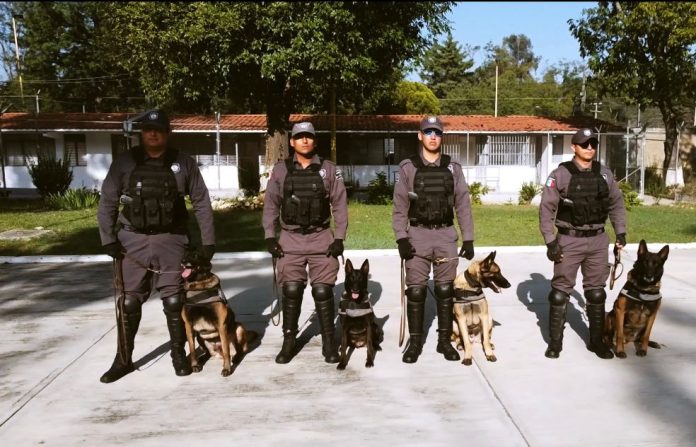 Abierta, convocatoria para reclutar personal de custodia para penales de Michoacán