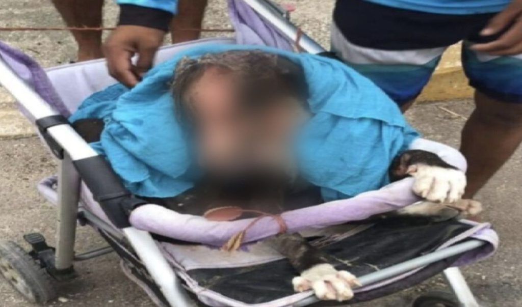 Mujeres queman vivo a un perrito por comerse un huevo
