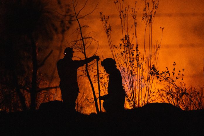Michoacán frenó fuego forestal con 20 mdp