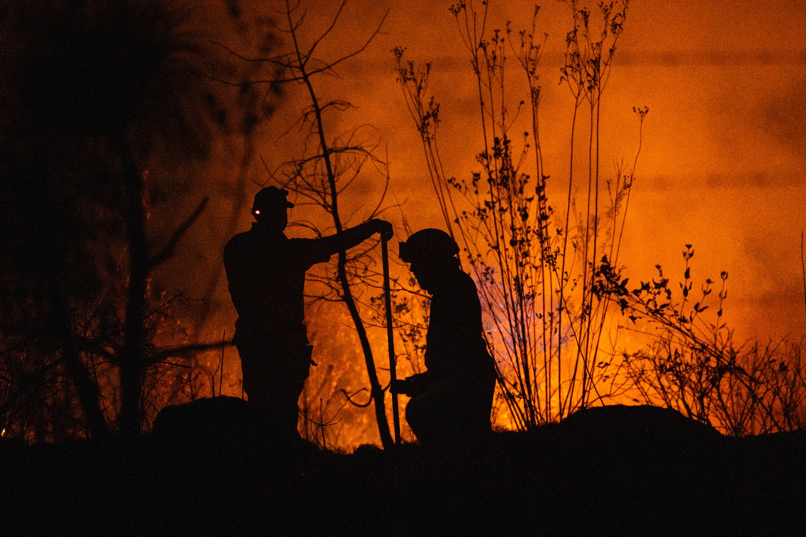 Michoacán frenó fuego forestal con 20 mdp Michoacán frenó fuego forestal con 20 mdp