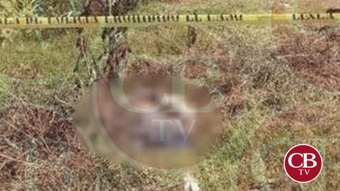 Hallan fémina muerta en una parada de autobús de Apatzingán