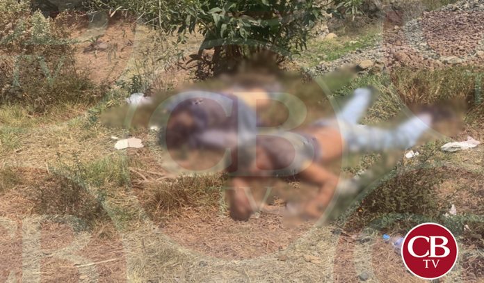 Asesinan a papá e hijo en Paracho