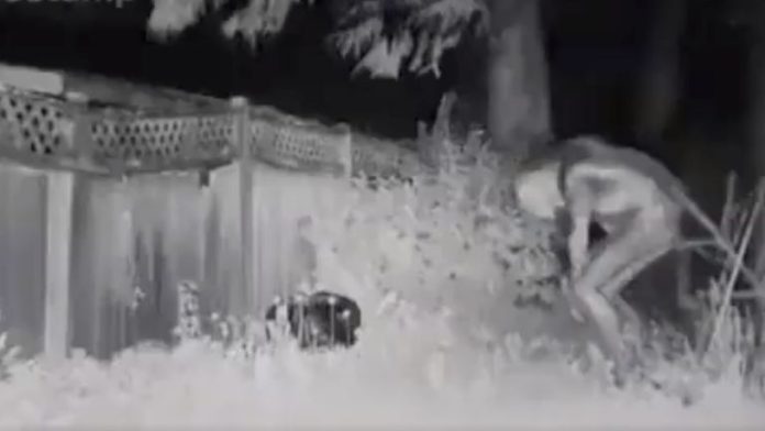 ¿Realidad o ficción? Difunden video del extraterrestre perdido en Las Vegas