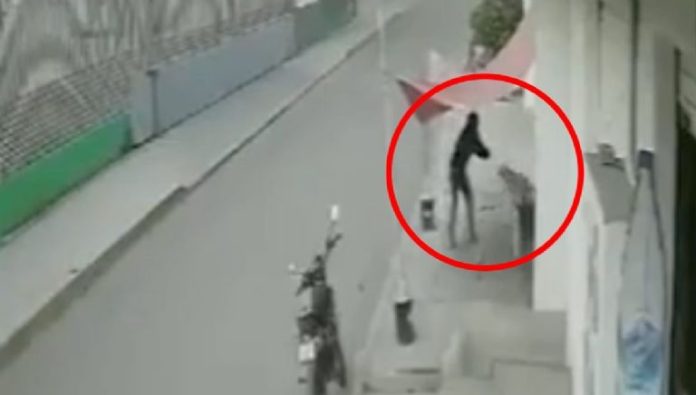 Video Fuerte: Asesino dispara a perro que caminaba por la banqueta