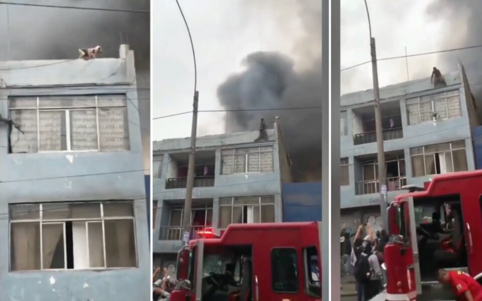 heroe-sin-capa-hombre-salva-25-perritos-incendio-fabrica-peru-video-10062023-960x600