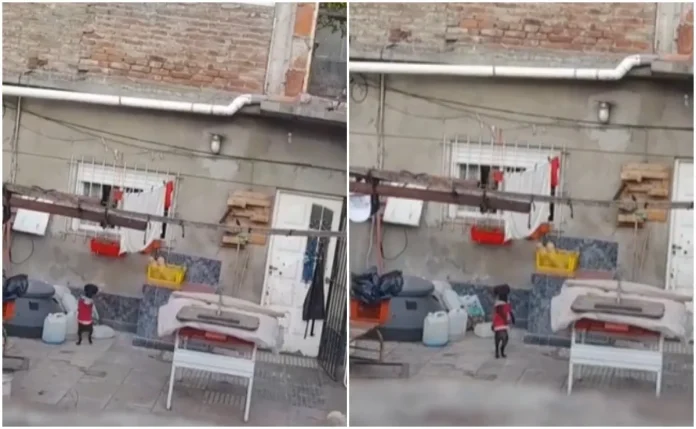 Video: Perrito poseído intimida a las redes