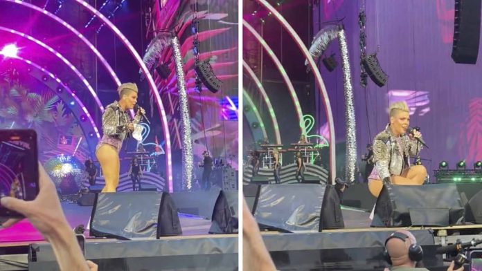 Fan lanza las cenizas de su madre a la cantante Pink en pleno concierto