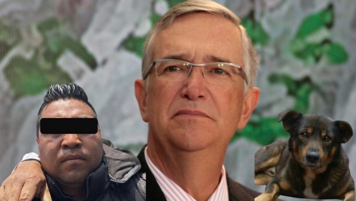 Salinas Pliego pide 20 años de cárcel para hombre que arrojó a Scooby