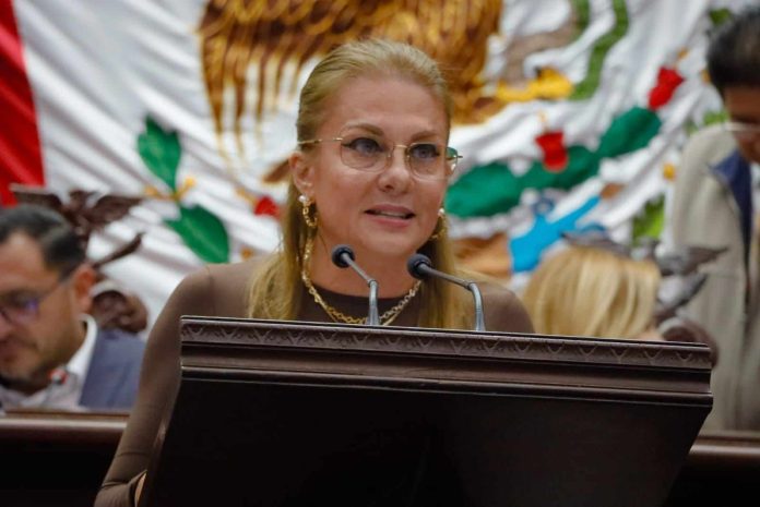 Necesitamos cuentas claras en materia de seguridad: Dip. Luz García