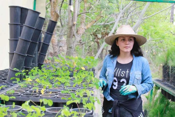 Plan de reforestación estatal solo cubrirá 53 municipios