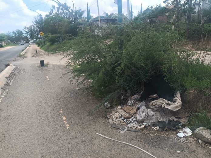 Basura, animales muertos y tramos sin pavimento, asi la ciclovía tenencia Morelos