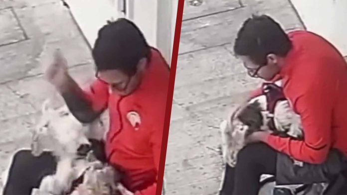 Captan a hombre golpeando en la cara al perrito de su novia