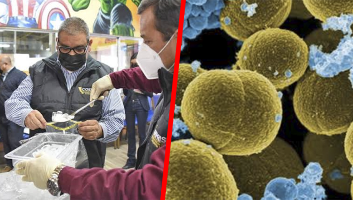 Bacterias encontradas en 5% de establecimientos de comida en Michoacán