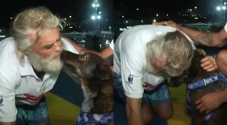 Tim Shaddock se despidió de perrita “Bella” en México Tim Shaddock se despidió de perrita “Bella” en México