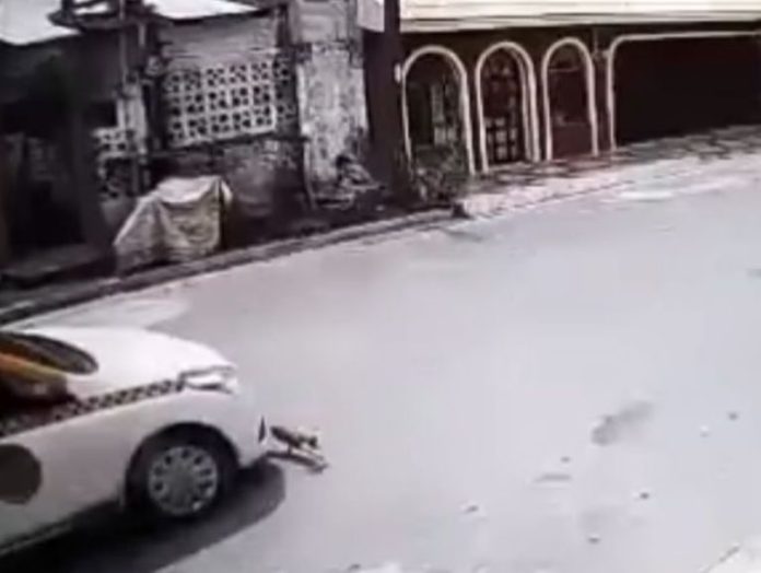 Video: sin pena alguna taxista atropella a perrito que cruzaba la calle