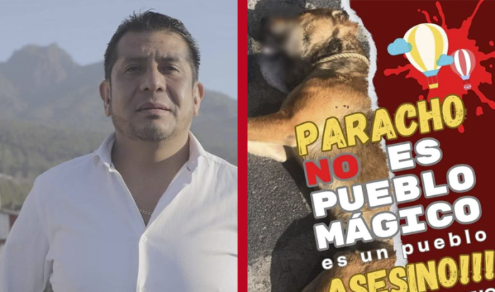 Pdte. de Paracho se deslinda de envenenamiento de perros