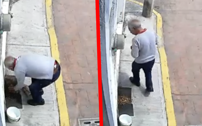 Captan a un abuelito envenenando croquetas para matar perritos callejeros