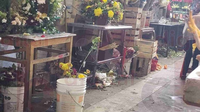 Llueven cucarachas: Plagas en el mercado independencia