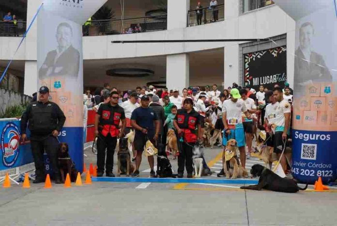 Binomios caninos de la SSP, presentes en el Evento Deportivo 