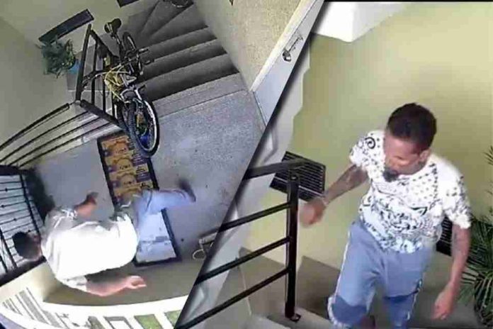 Identifican al agresor de perrita que fue arrojada desde tercer piso en Puebla