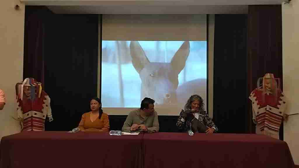 Sectur invita a conocer todo sobre la raza xoloitzcuintle en el Xolo Fest 2023 Sectur invita a conocer todo sobre la raza xoloitzcuintle en el Xolo Fest 2023
