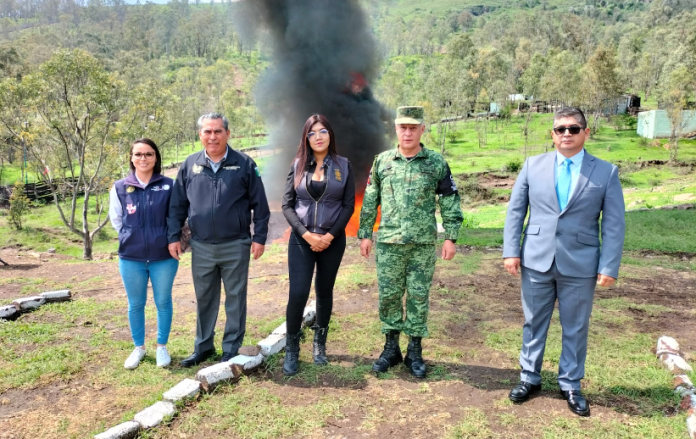 Destruyen más de 300 kilos de drogas en Michoacán