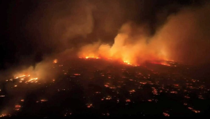 Incendios forestales en Hawai deja 6 muertos
