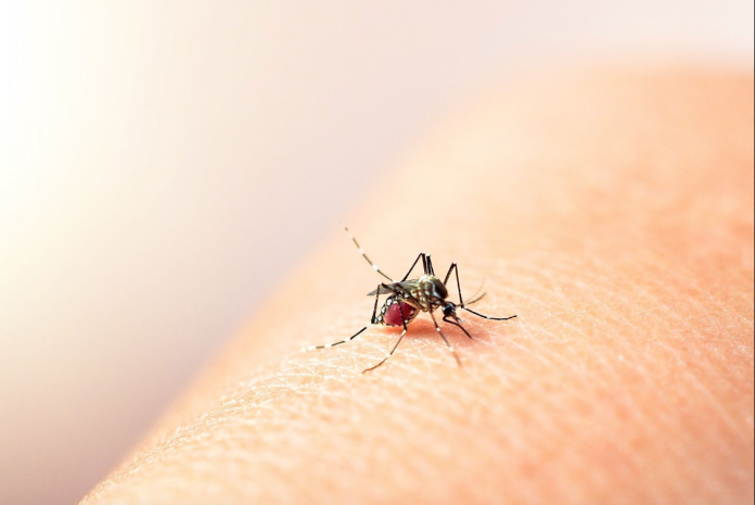 Muere la primera persona por dengue en Chiapas