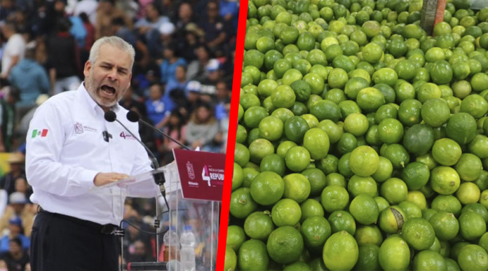 Bedolla convoca a limoneros a denunciar y no caer en el encubrimiento