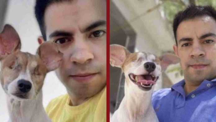 Hombre adopta a perrita sin ojos que había sido abandonada