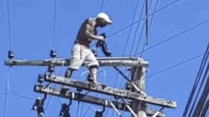 Ladrón sube a poste de luz para escapar de la policía y queda atrapado todo un día