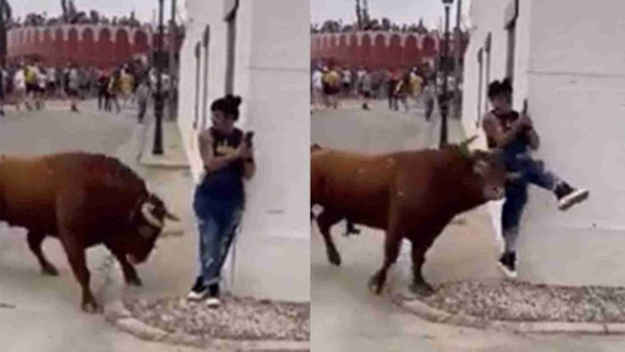 Mujer recibe cornada de un toro mientras ella veía su celular