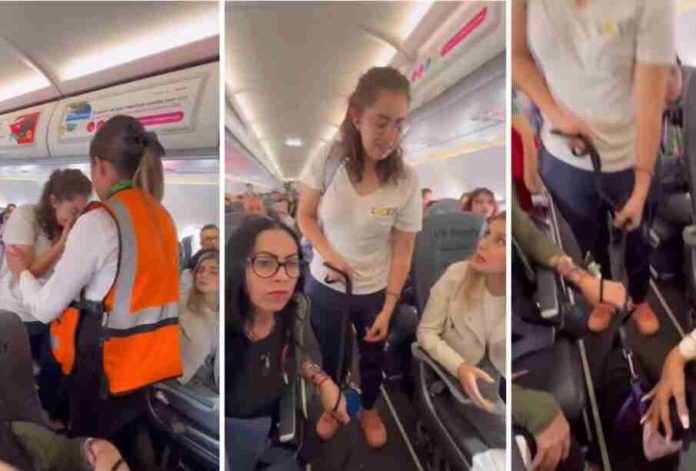 Viva Aerobus baja a joven con su perro de apoyo emocional