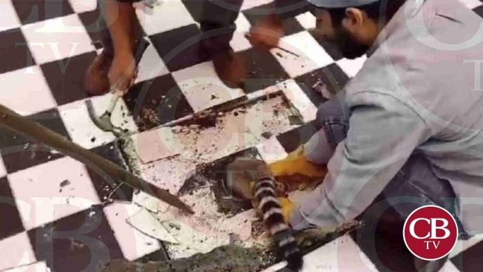 Rescatan a Cacomixtle atrapado en una coladera en Uruapan