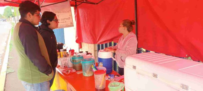 Menos 70% de ventas, reportan comerciantes ante ausencia de estudiantes