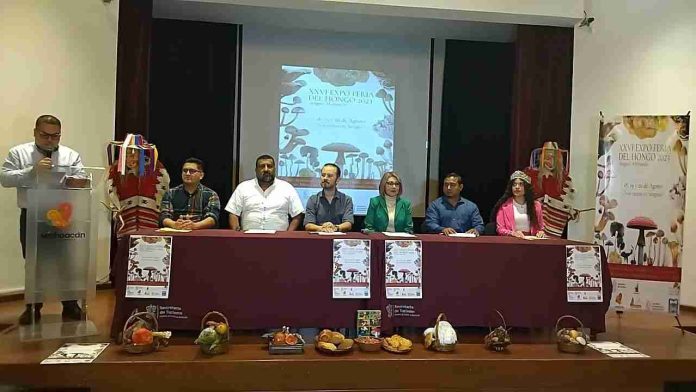 Conoce las más de 250 especies de hongos en la feria de Senguio