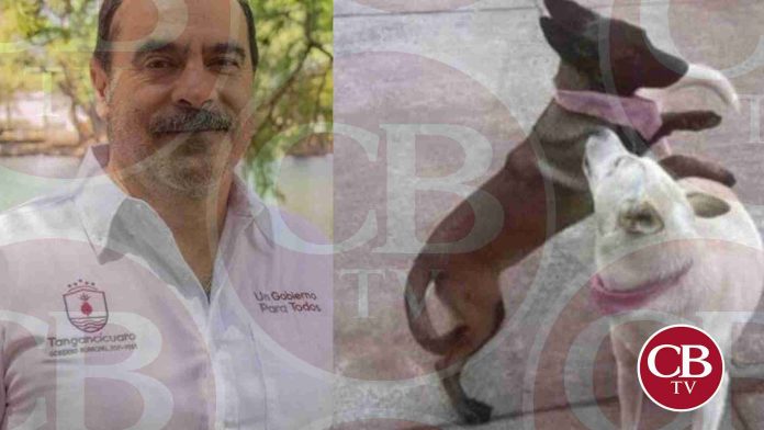 Audiencia del caso 
