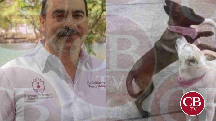 FGE va contra edil de Tangancícuaro por la muerte de 