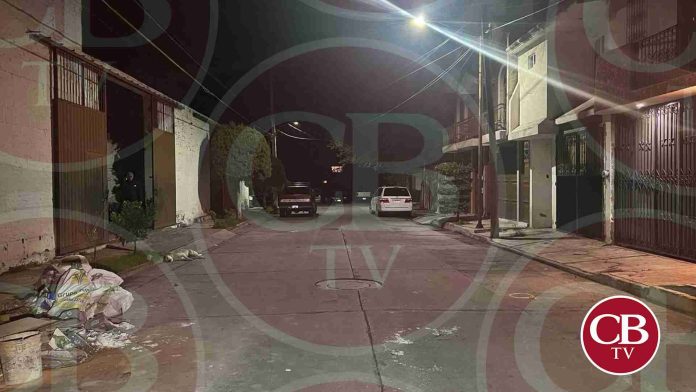 Ya se investiga la muerte de dos perritas baleadas en Tangancícuaro